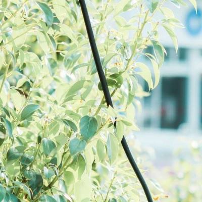 威斯尼斯wns888入口截图