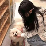 博鱼·综合体育APP下载安装